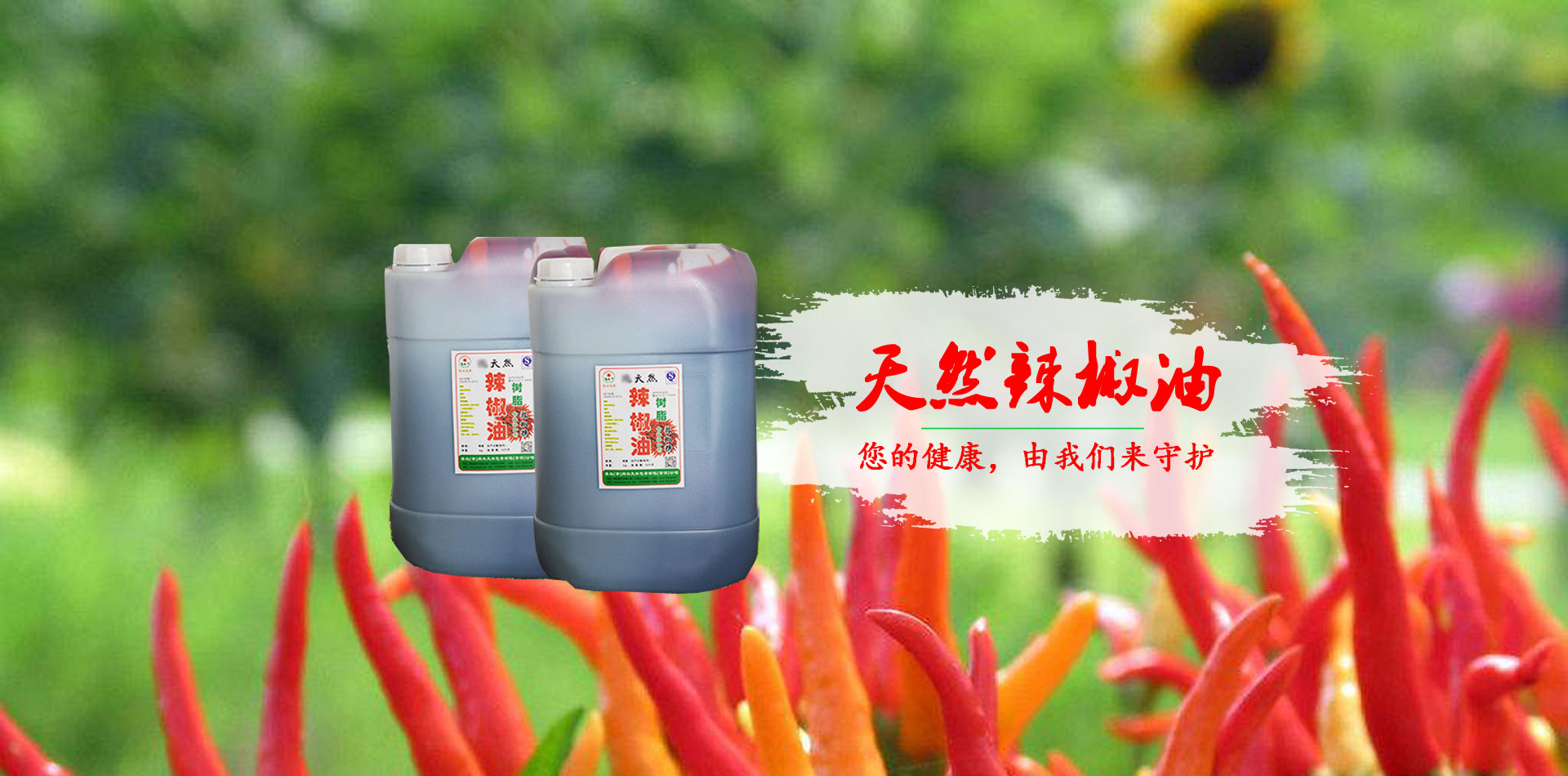 國內首位EV行業(yè)